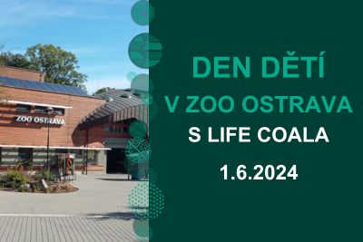 Coala se bude v ZOO na Den dětí