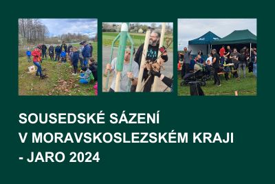 Sousedské sázení stromů