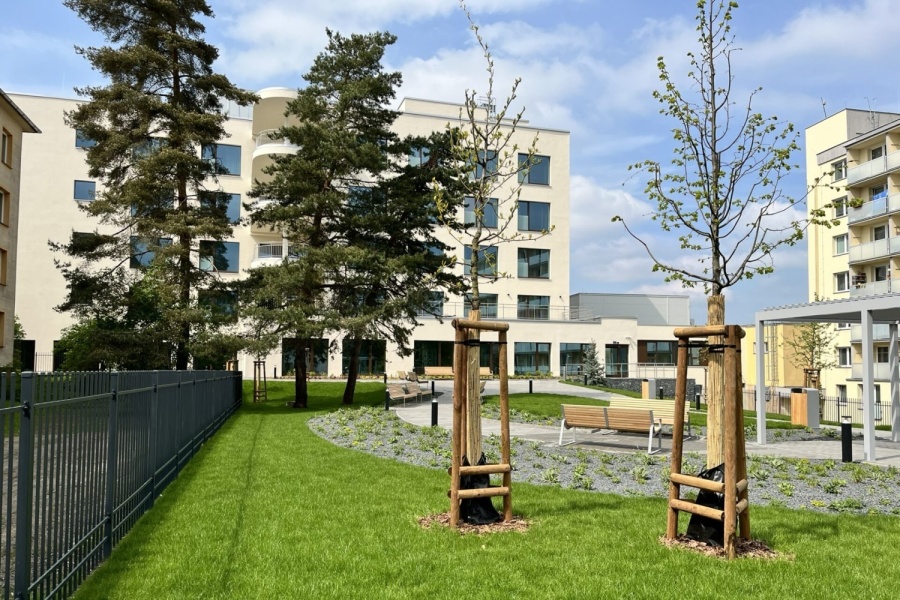 Kraj podpoří zelené projekty svých organizací. Mezi nemocnice, školy nebo domovy rozdělí 10 milionů korun